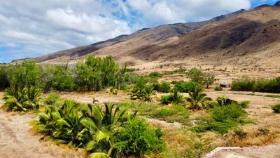 3 - Ehehene St, Home with 0 bedrooms, 0 bathrooms and null parking in Lahaina HI | Image 2