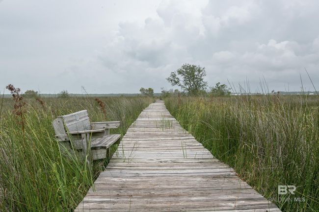 Walk way to the Bay | Image 33