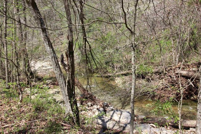 361 Rim Shoals Ln, House other with 2 bedrooms, 1 bathrooms and null parking in Mountain Home AR | Image 26
