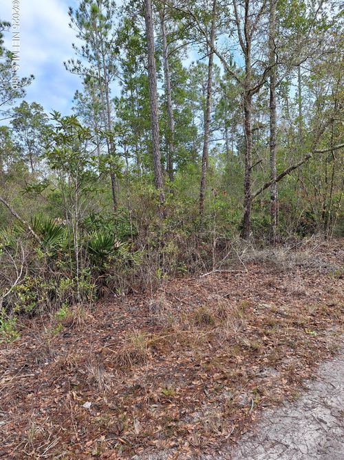 00 E Saint Johns Ter, East Palatka, FL, 32131 | Card Image
