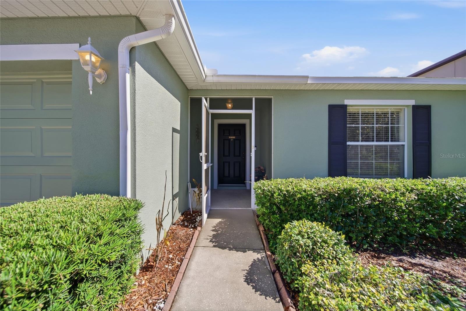 Residential in WESLEY CHAPEL 4