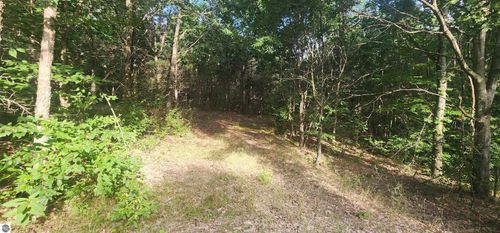 00 W Phelps Rd, Manton, MI, 49663 | Card Image