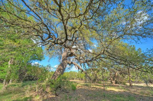 Star Gazer Lot 8 Stargazer Drive, Lampasas, TX, 76550 | Card Image