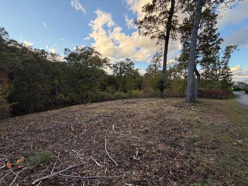 Lot 29 Paw Paw Trl, Murphy, NC, 28906-2472 | Card Image