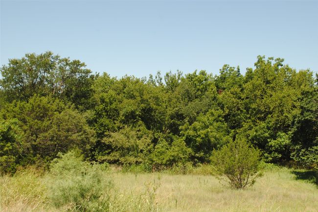 73 109, House other with 4 bedrooms, 3 bathrooms and null parking in Goldthwaite TX | Image 35