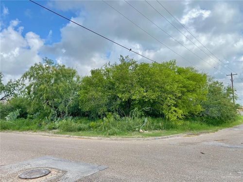 TBD N Palm Street, Progreso, TX, 78570 | Card Image