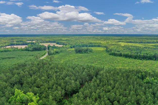 DJI_0300 | Image 25