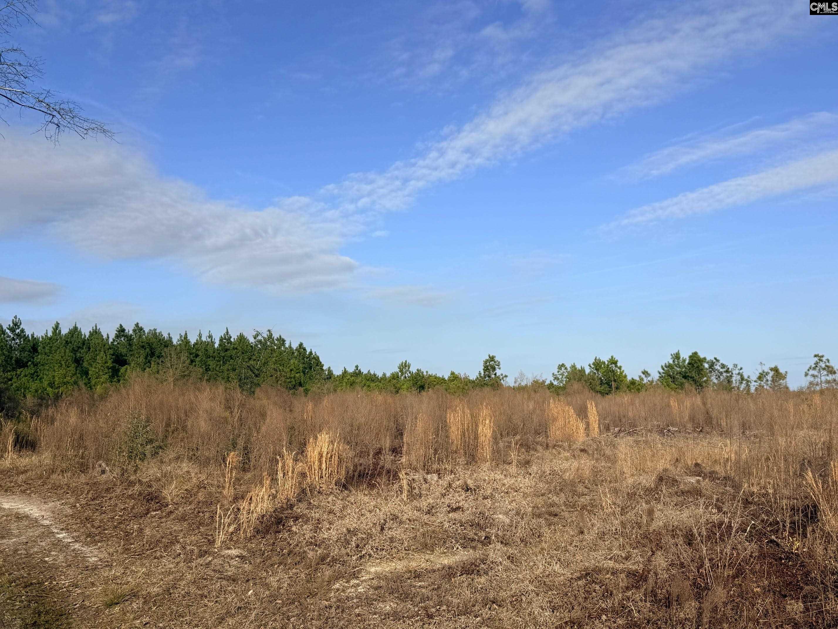 Land in Salley 5