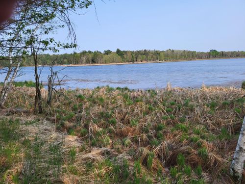 XXX Crow Point Trl, Nevis, MN, 56467 | Card Image
