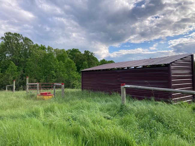 265 - 24265 S Mohawk Rd, Home with 0 bedrooms, 0 bathrooms and null parking in Mohawk TN | Image 5