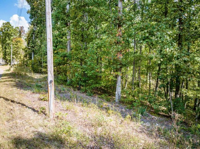 LOT 14/16 Ridgeway Dr, Home with 0 bedrooms, 0 bathrooms and null parking in Sugar Tree TN | Image 5