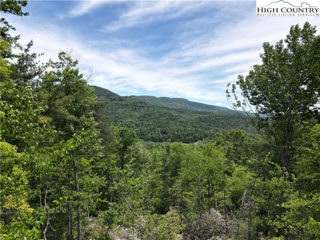 39 Wildcat Wilderness Reserve Parkway, Home with 0 bedrooms, 0 bathrooms and null parking in Deep Gap NC | Image 4