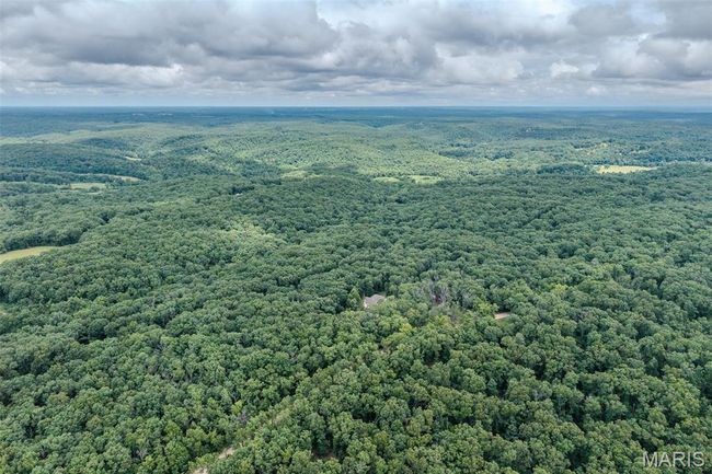Bird's eye view of a forest | Image 82