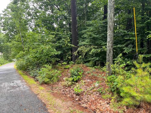 Lot 84 Franconia Dr, New Durham, NH, 03855-6135 | Card Image