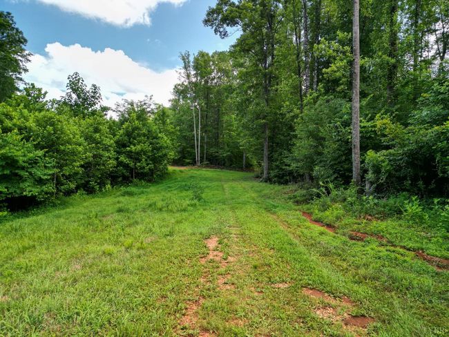 0 Allens Creek Rd, Home with 0 bedrooms, 0 bathrooms and null parking in GLADSTONE VA | Image 14
