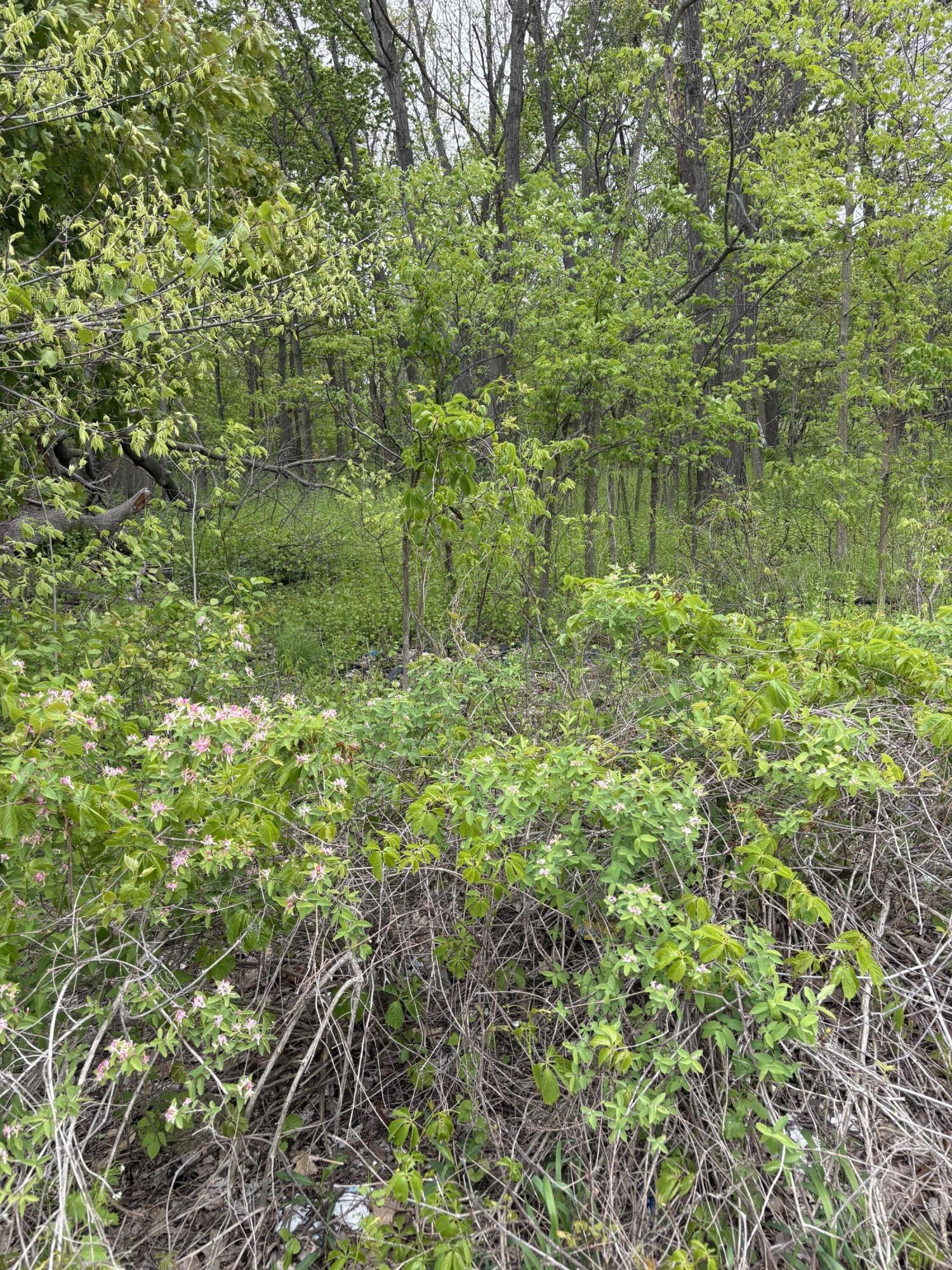 Land in Battle Creek 4