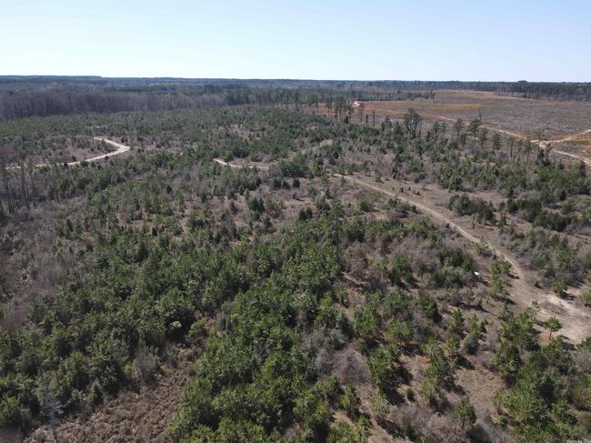 00 Highway 278 Highway, Home with 0 bedrooms, 0 bathrooms and null parking in Rosston AR | Image 14