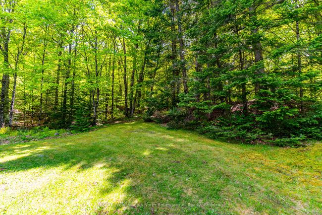 18053 Highway 35, House other with 3 bedrooms, 1 bathrooms and 6 parking in Algonquin Highlands ON | Image 32