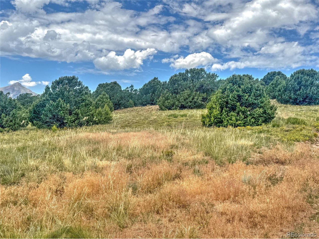 Land in Westcliffe 3