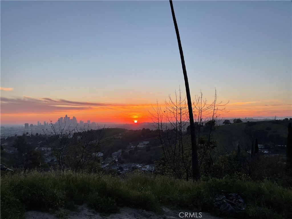 Land in Los Angeles 5