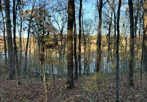 0 Co Rd 585, Rogersville, AL, 35652 | Card Image