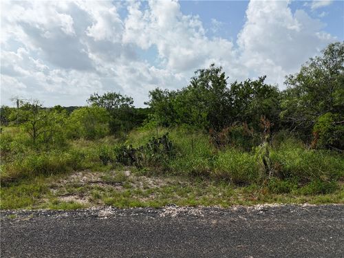 106 Navaho, Sandia, TX, 78383 | Card Image
