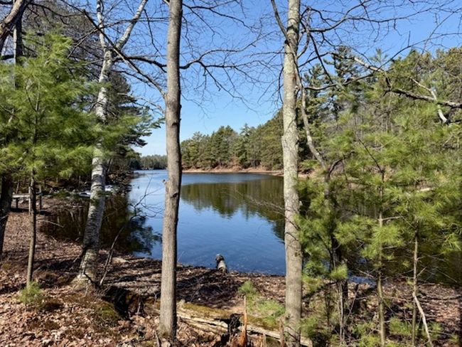 13375 Michaelis Ln, House other with 2 bedrooms, 1 bathrooms and 2 parking in MANITOWISH WATERS WI | Image 31