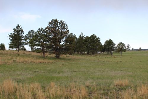 Tract 4 Lariat Circle, Hot Springs, SD, 57747-0000 | Card Image