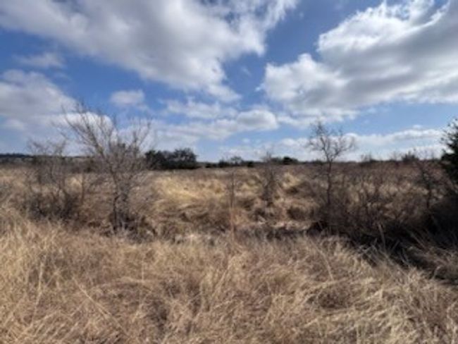 229 E Rolling Oaks Dr, Home with 0 bedrooms, 0 bathrooms and null parking in Goldthwaite TX | Image 10