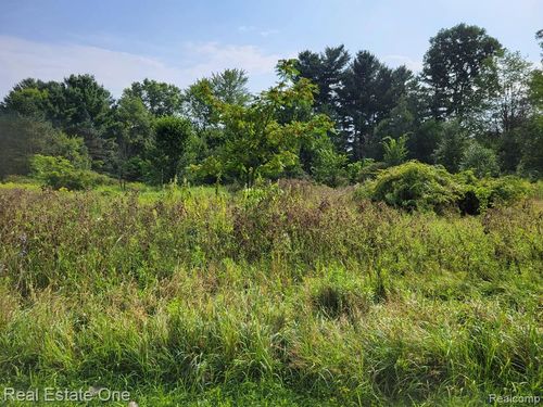 ABC Hemingway Lake Rd, Otter Lake, MI, 48464 | Card Image