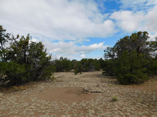 Lot 138 Agua Fria Loop, Quemado, NM, 87829 | Card Image