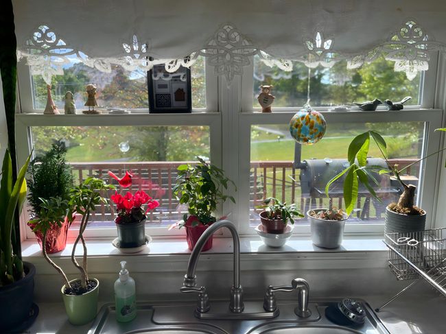 490 Deer Creek Ln, House other with 3 bedrooms, 3 bathrooms and 3 parking in Buckhannon WV | Image 35