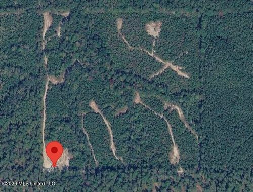 40 Acres Forestry Road 356, Beaumont, MS, 39423 | Card Image