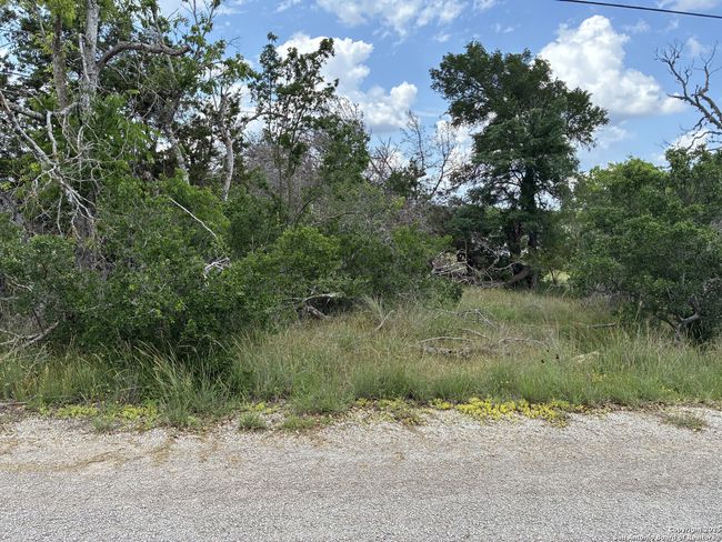 203 Bluff View Dr, Home with 0 bedrooms, 0 bathrooms and null parking in Spring Branch TX | Image 6