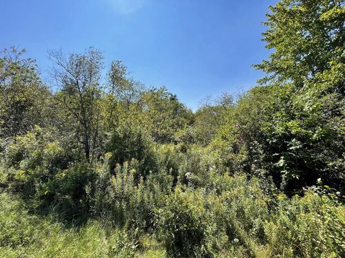 61 Hadley Lake Road, East Machias, ME, 04630 | Card Image