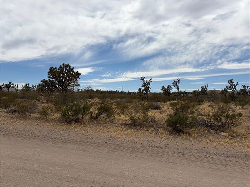 17773 Laurel Dr, Dolan Springs, AZ, 86441 | Card Image