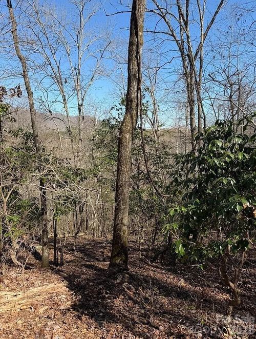 0 Royal Oaks Trl, Brasstown, NC, 28902 | Card Image