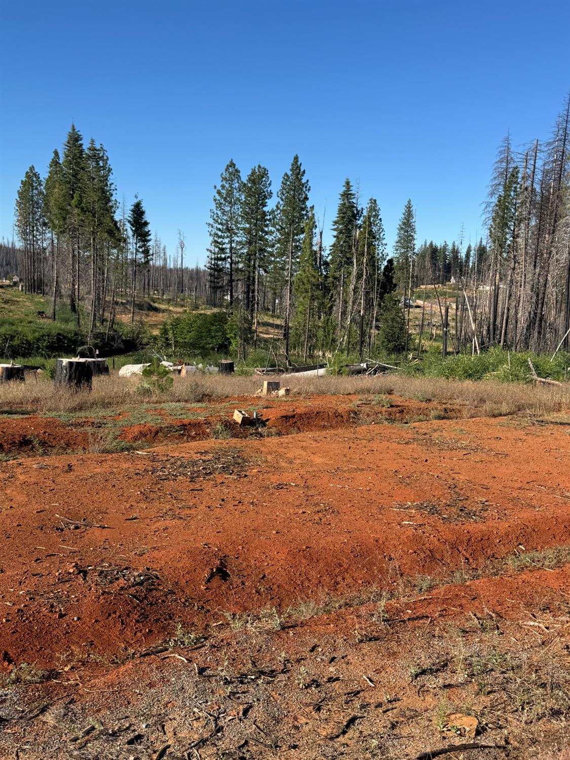 Land in Grizzly Flats 4