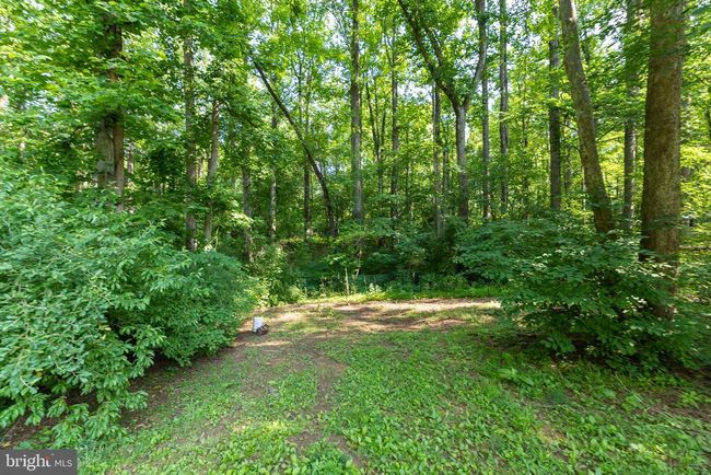 3020 Parshall Rd, House other with 3 bedrooms, 2 bathrooms and null parking in BERRYVILLE VA | Image 47