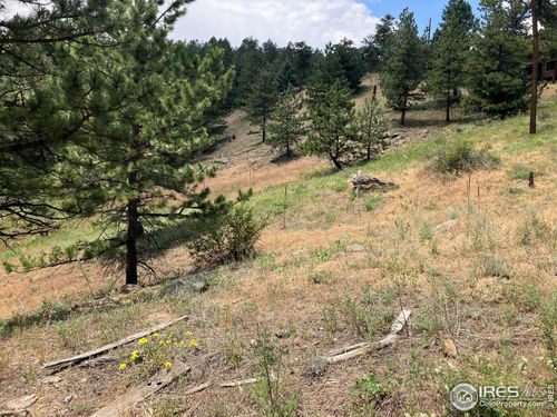 198 Puma Dr, Boulder, CO, 80302 | Card Image