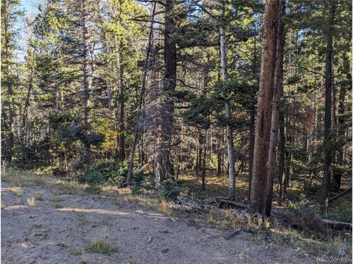 3067 Forbes Park Loop, Fort Garland, CO, 81133 | Card Image