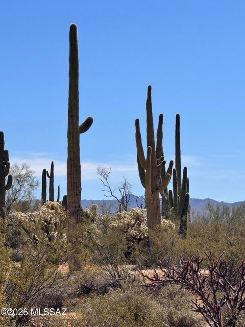 0-0 S Cattle Tank Road, Marana, AZ, 85658 | Card Image