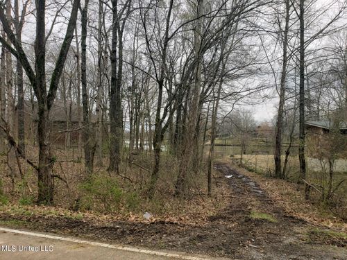4025 Windermere Drive, Nesbit, MS, 38651 | Card Image