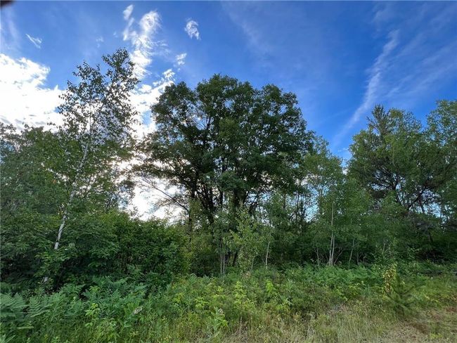 W39XX Frog Creek Rd, Home with 0 bedrooms, 0 bathrooms and null parking in MINONG WI | Image 4