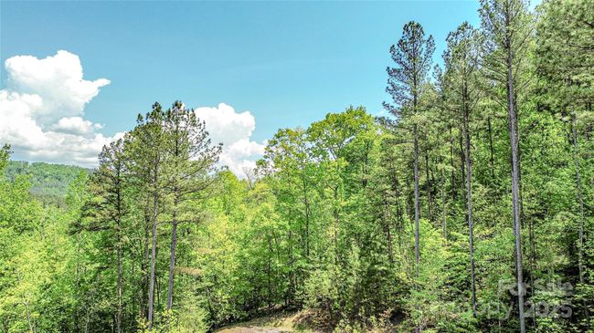 146 S Branch Dr, Home with 0 bedrooms, 0 bathrooms and null parking in Bostic NC | Image 18