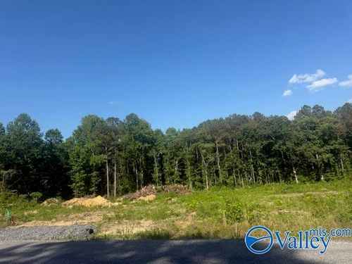 491 County Road 1004, Geraldine, AL, 35974-3693 | Card Image