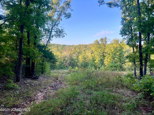 TBD Ponder Slab Rd, Iberia, MO, 65486 | Card Image