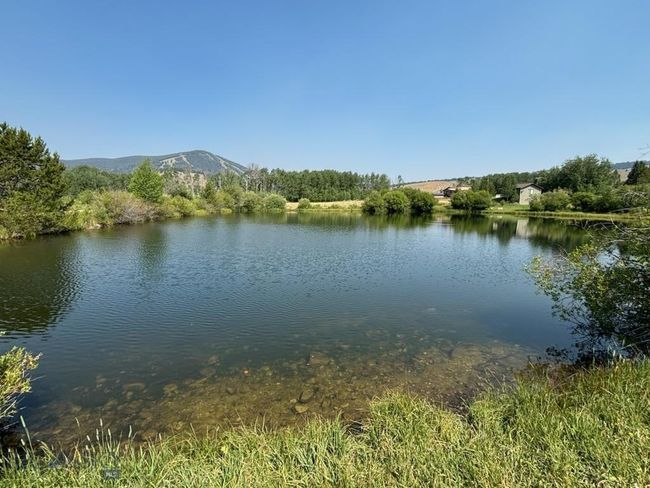 Maverick from one of two community ponds | Image 5
