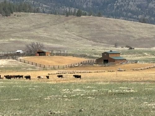 3 Finley Gulch Rd, Lonepine, MT, 59848-8701 | Card Image