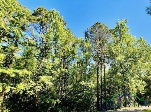 TBD Deerwood Park, Queen City, TX, 75572 | Card Image
